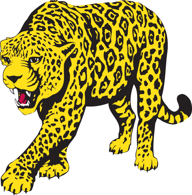 South Alabama Jaguars 1993-2007 Partial Logo t shirts iron on transfers